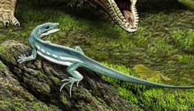 Obamadon's rare Facebook photo